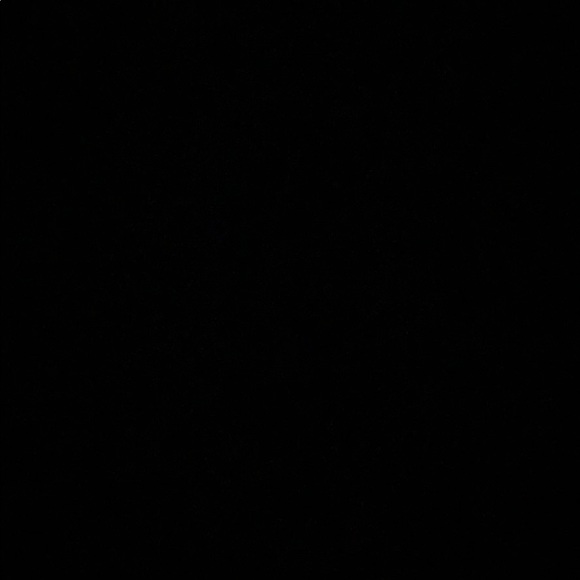 Meet your Posher, Lily - Picture 1 of 1